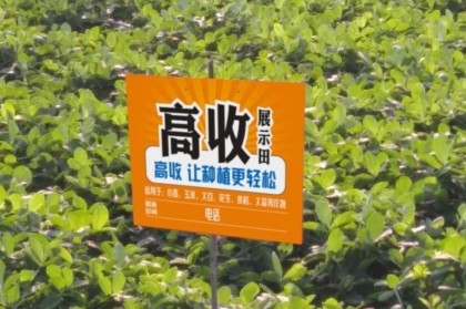 牛八体育平台- 阿尔特塔轮换策略收奇效  